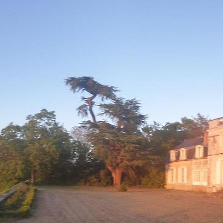 Château de Colliers Muides-sur-Loire Exterior foto