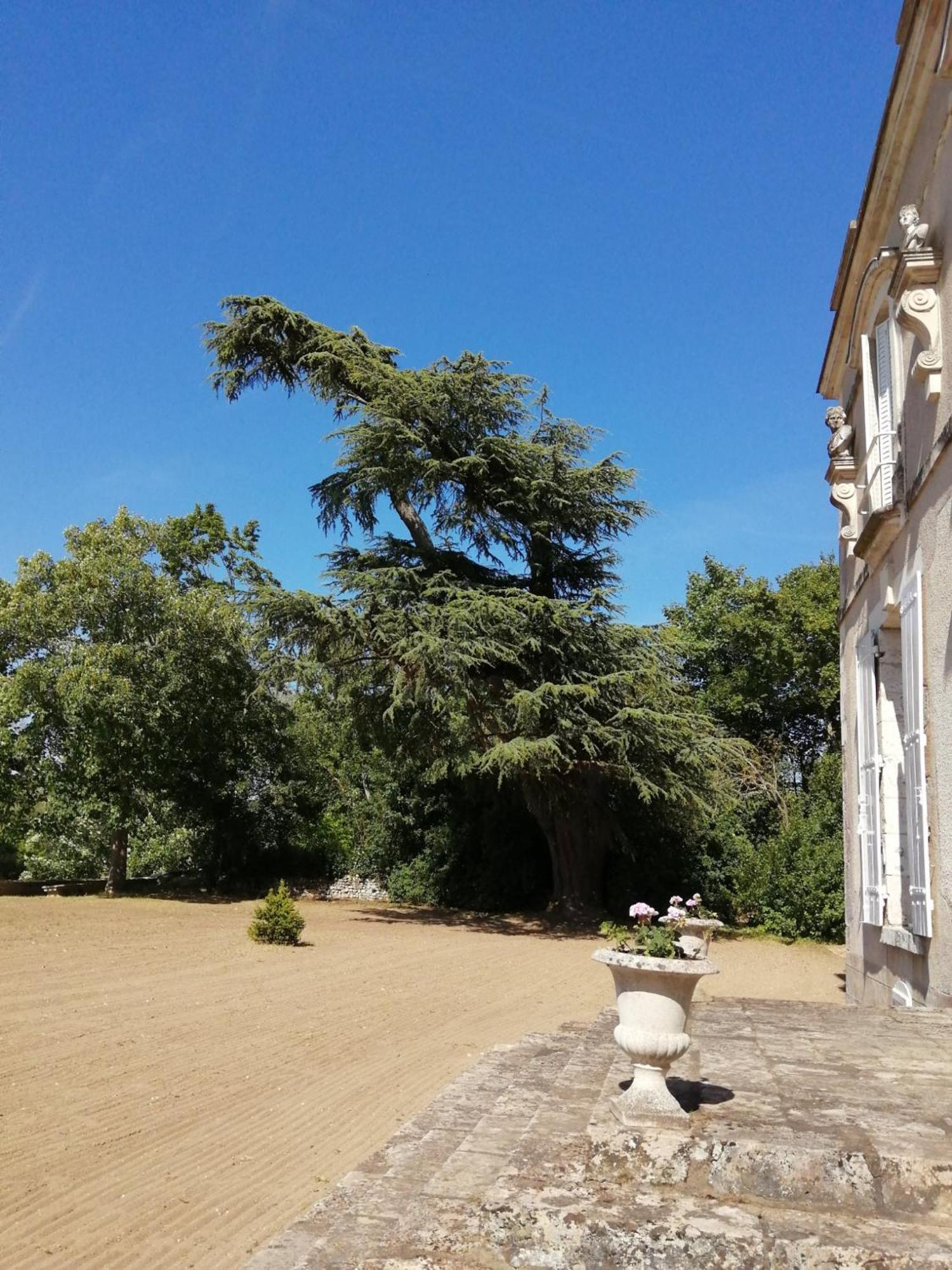 Château de Colliers Muides-sur-Loire Cameră foto